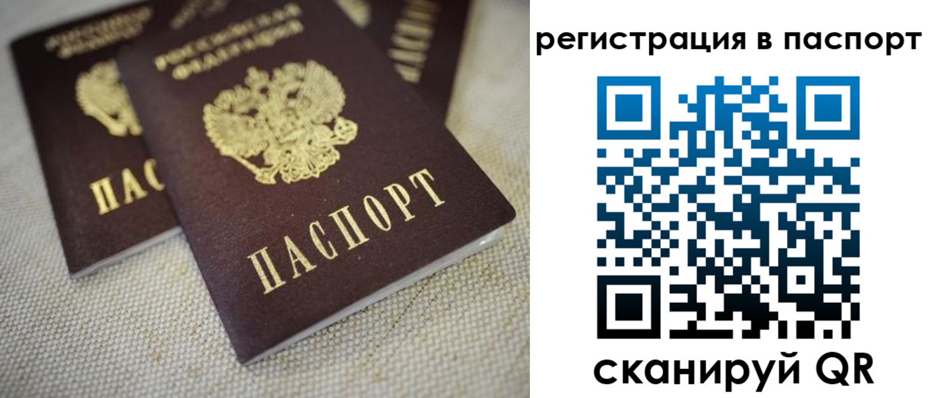 прописка гарантия в Похвистнево